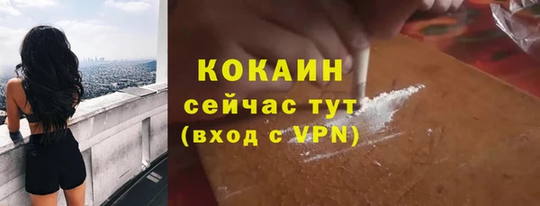 тгк Алексин