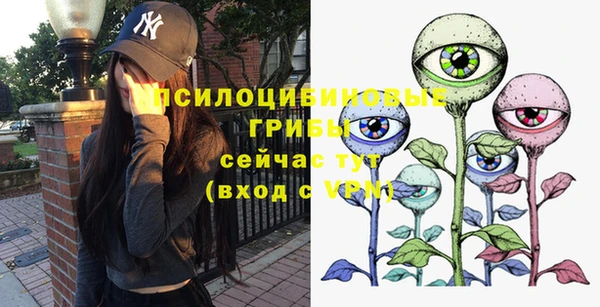 тгк Алексин