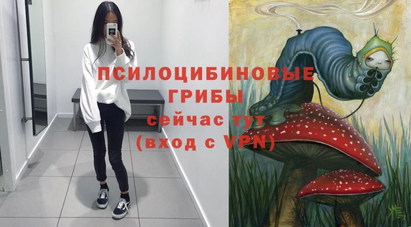 прущая мука Абаза