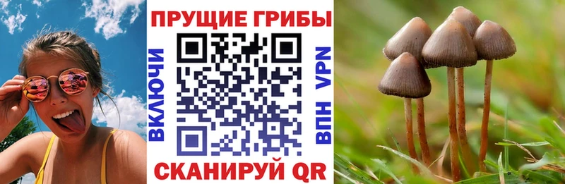Псилоцибиновые грибы мухоморы  Симферополь 
